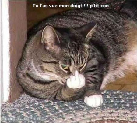 on peut etre tranquille!!!!!!